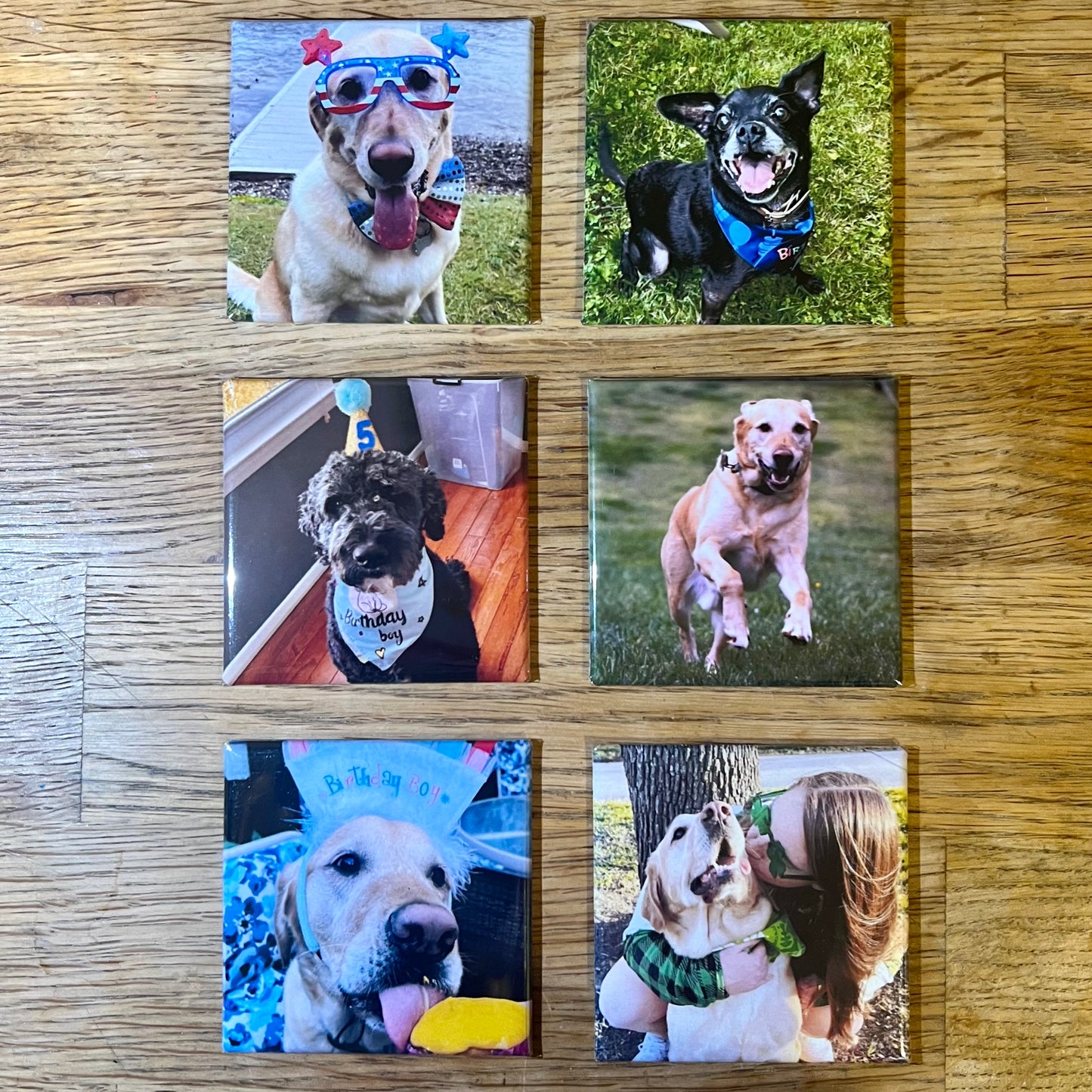 Personalized Photo Magnets- Set of 6